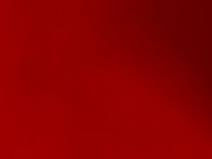 Profile Picture of cappellonesud