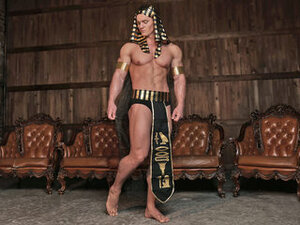 Profile Picture of Steeve Muscle